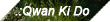 Qwan Ki Do